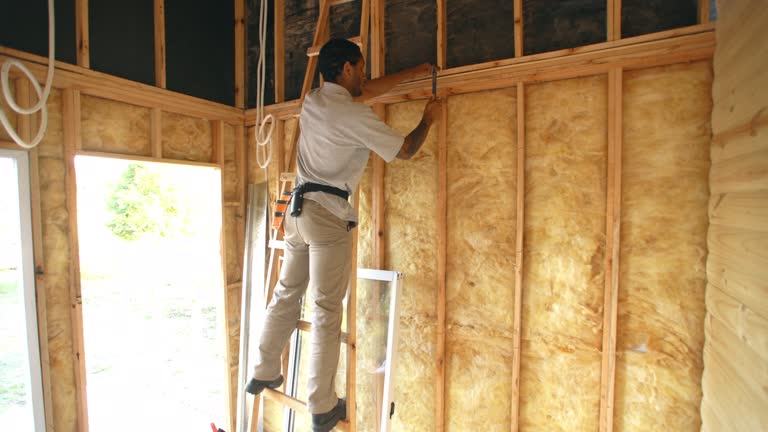 Types of Insulation We Offer in Farmerville, LA